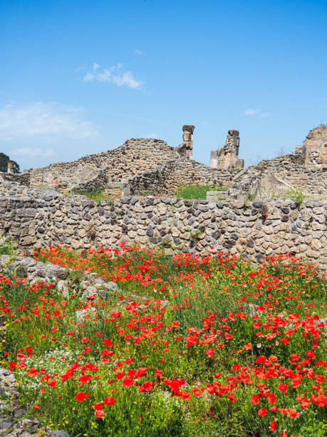 istock Poppies at Pompeii 2160457561