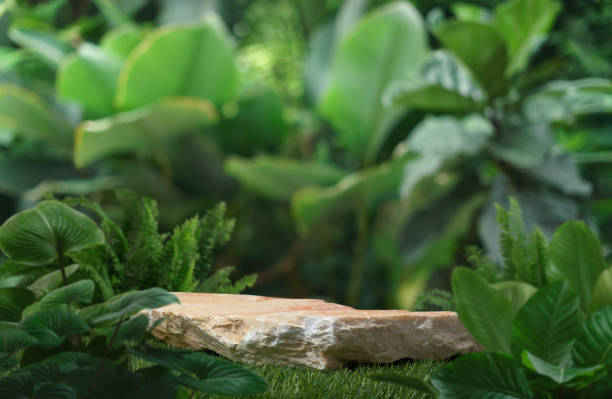 istock Stone tabletop podium floor in outdoors tropical garden forest blurred green leaf plant nature background.Natural product placement pedestal stand display,jungle paradise concept. 2160459587
