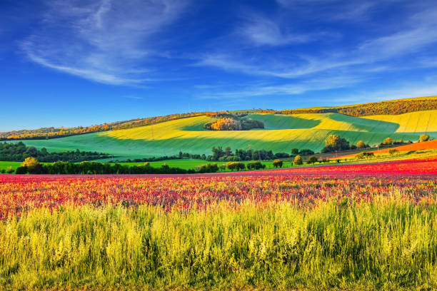 istock Travel to South Moravia 2160459993