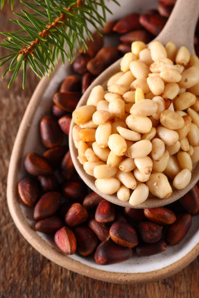 istock natural organic pine nuts for a healthy diet 2160462292