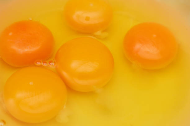 Beaten raw egg. Egg background. The protein with the yolk. Broken chicken egg.