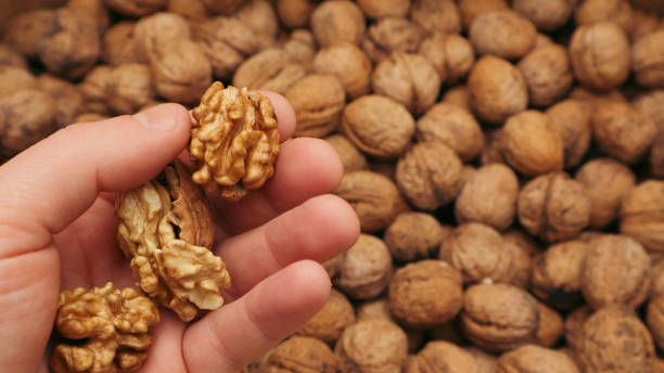 istock Mans hands with walnuts. Selective focus. Autumn - nuts harvest 2160463544