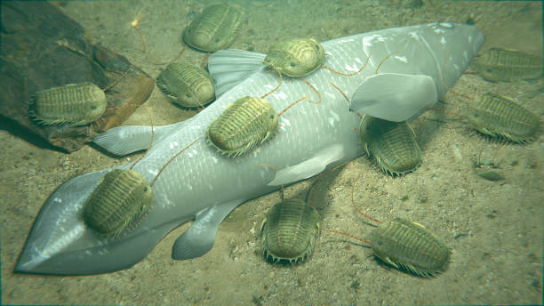 Trilobites Scavenging On The Carcass of Dead Coelacanth