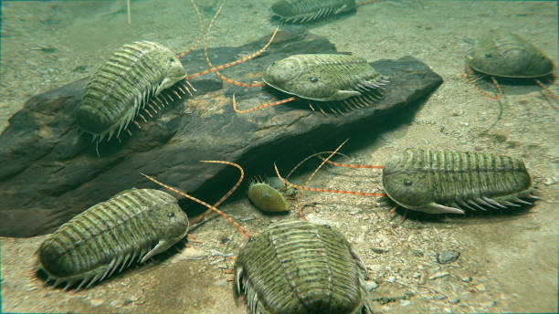 Trilobites Scavenging On The Lake Bottom