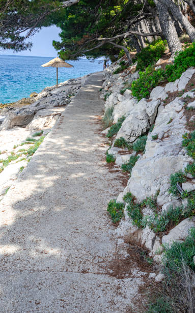 istock Promenade by the sea 2160472381