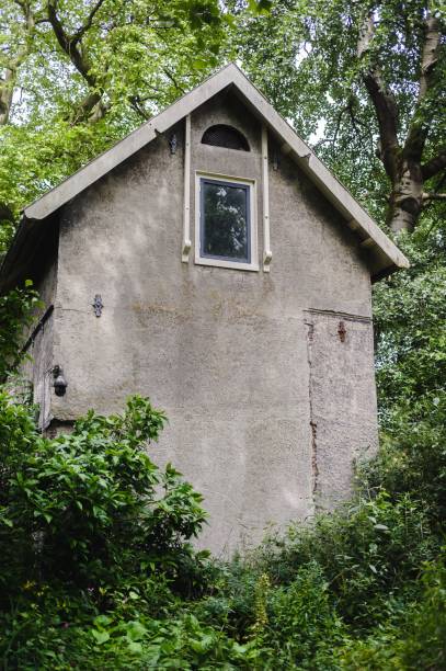 Rustic small house with a single window, surrounded by lush greenery and trees in a forest setting.