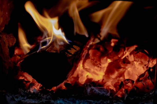 portraits of a bonfire