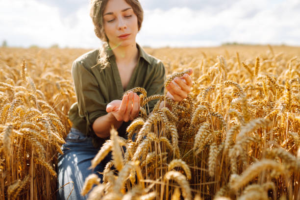 istock Woman Farmer examining crops crouching in wheat farm. 2160477192