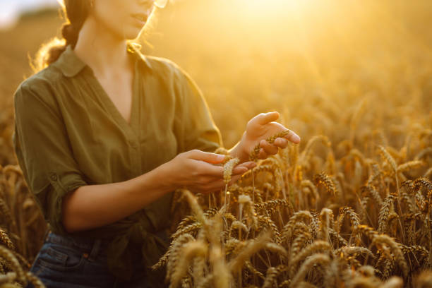 istock Woman Farmer examining crops crouching in wheat farm. 2160477216