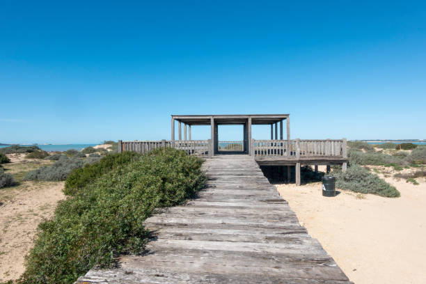 istock Wooden footpath leading to a viewpoint 2160477352