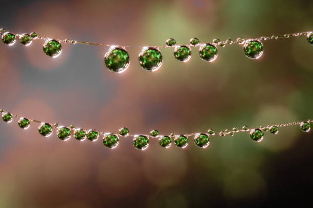 Dangling dew drops with reflections, photographed close-up, create beautiful abstract macro images that can be used as backgrounds.