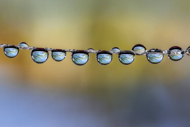 Dangling dew drops with reflections, photographed close-up, create beautiful abstract macro images that can be used as backgrounds.