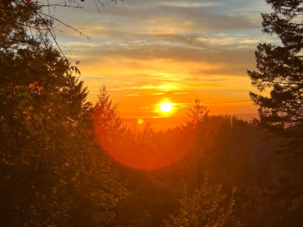 istock Hood Mountain Regional Park, Sonoma County, CA 2160477621