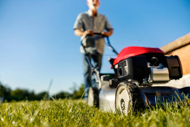 istock Selective focus on lawn mower cutting grass with senior man in blurry background. 2160478271