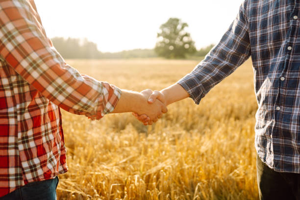 istock Handshake. Two farmers in wheat field making agreement with handshake at sunset. 2160479137