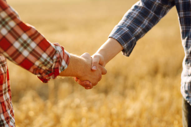 istock Handshake. Two farmers in wheat field making agreement with handshake at sunset. 2160479138