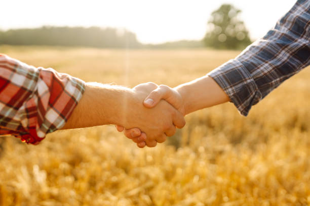istock Handshake. Two farmers in wheat field making agreement with handshake at sunset. 2160479142