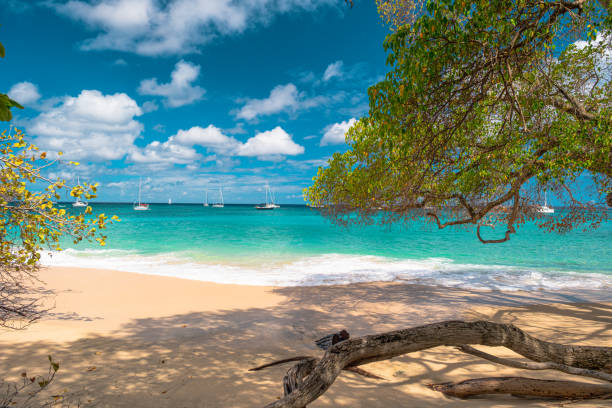 istock Lower Bay, Bequia, Saint Vincent and the Grenadines 2160481209