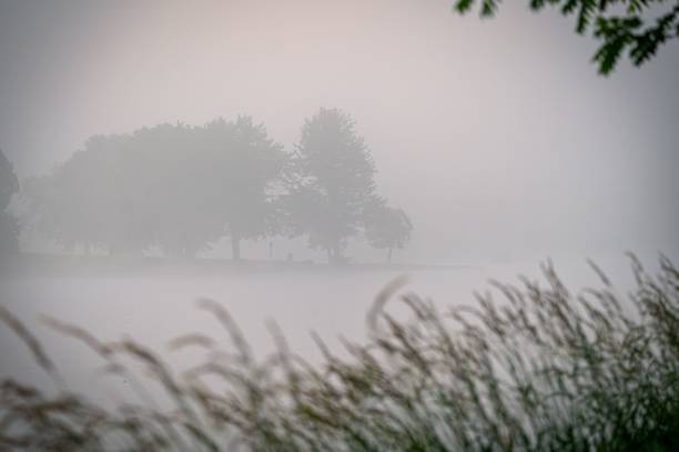istock Foggy landscape featuring trees and a lake with soft focus foreground grasses 2160483949