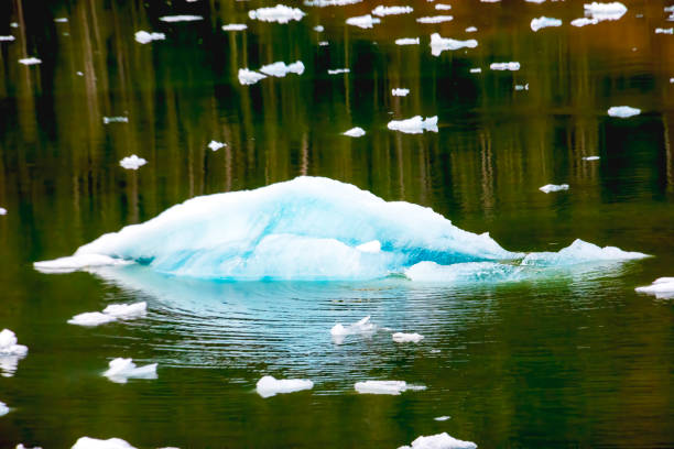 ice in the water near Dawes Glacier