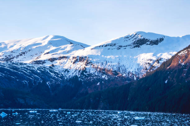 istock Alaska near Endicott Arm & Dawes Glacier 2160489509