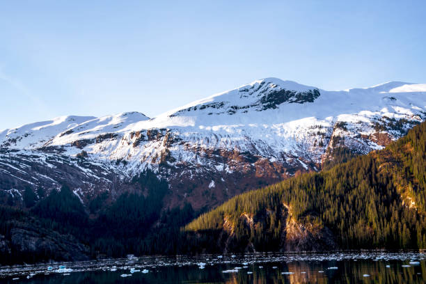istock Alaska near Endicott Arm & Dawes Glacier 2160489572