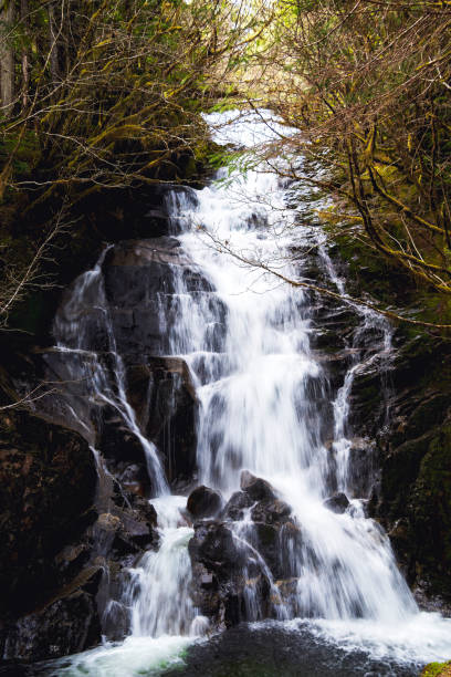 istock Waterfall near Ketchikan 2160489946