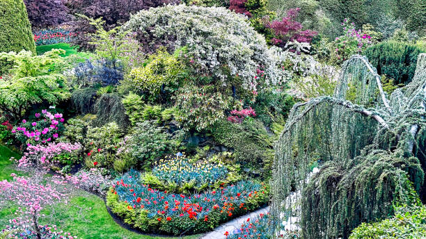 istock gorgeous garden in Canada 2160490036