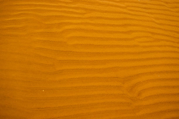 Seamless wet sand with sea water on a whole background. Empty wavy sandy sea bottom. Exotic Sandy Ocean beach surface. Top view. Simple, minimalistic photo. Ideal concept for banner, poster, ads.