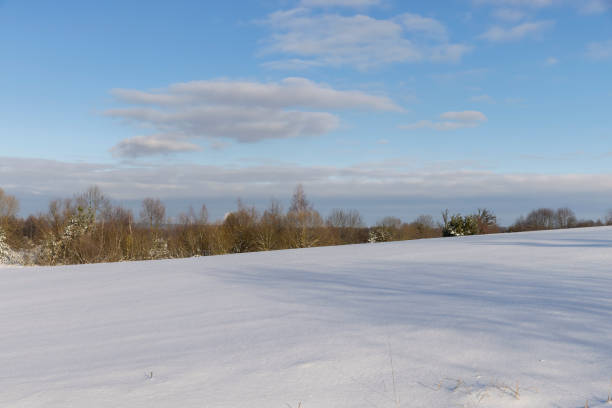 wide snowbound plain at the sunny winter day