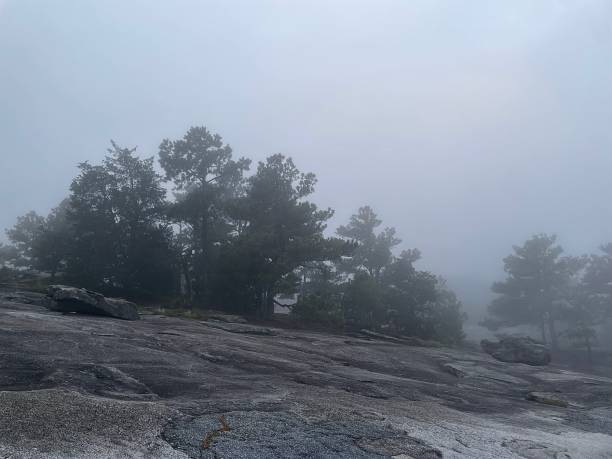 istock Eerie Fog 2160492528