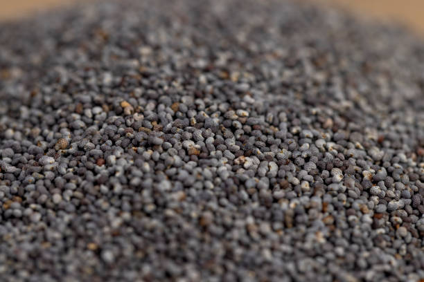 istock scattered poppy seeds for cooking 2160493719