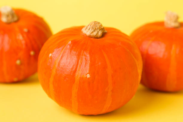 istock Orange pumpkins with autumn decor on color background 2160496571
