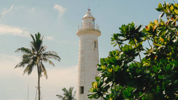 istock Lighthouse and tropical vegetation 2160501360
