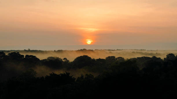 istock Sunrise over tropical rainforest 2160501901