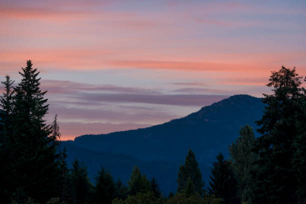 Alpen glow on mountains and forest, Whistler, B.C.