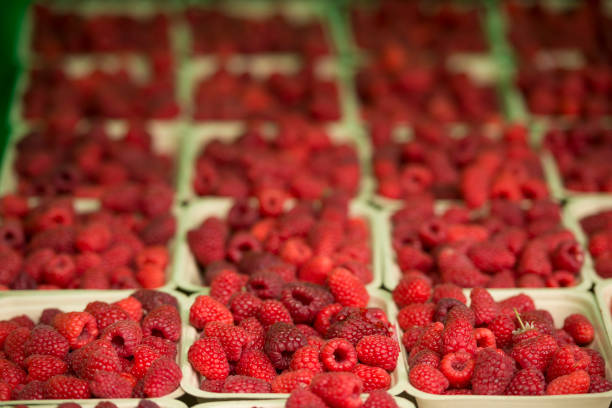 istock Fresh berries at farmer's market 2160503325