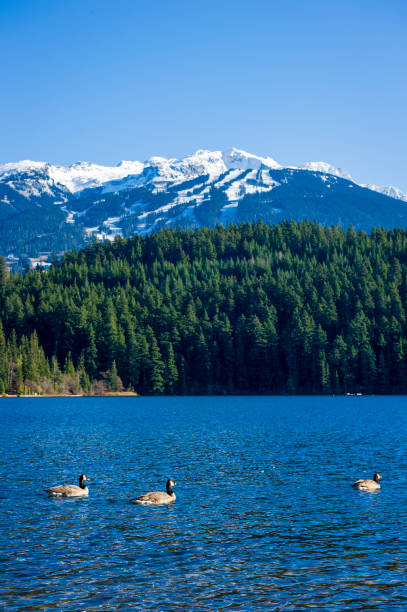 istock Snowcapped mountains and lake 2160503385