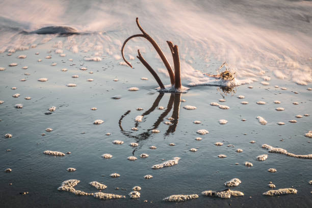 istock Vancouver Island Coastline 2160504424