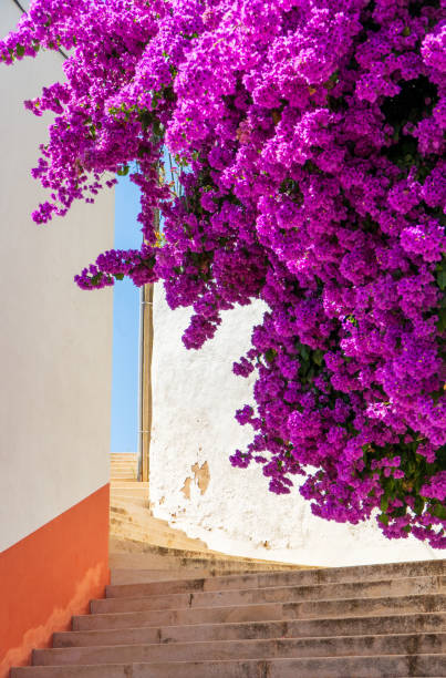 Steps to a church in Silves Portugal