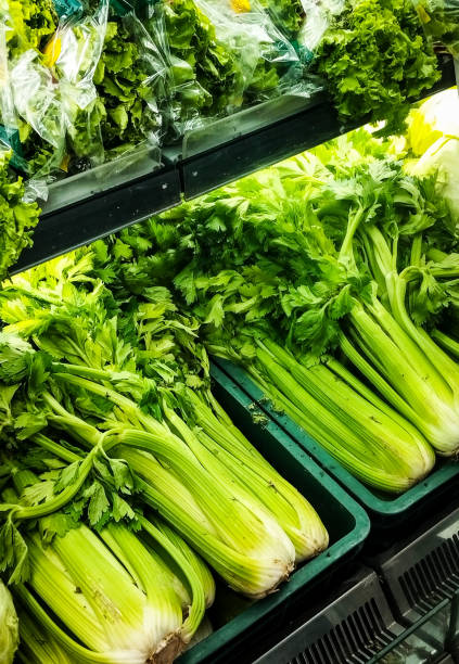 High anle view of some fresh green celery in market fridge