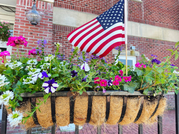 Americans decorate their lawn with American flag for the Independence Day !