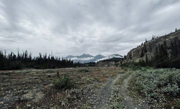 istock The great outdoors 2160509338