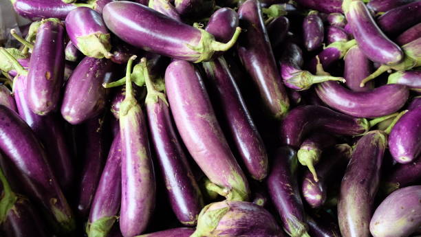 istock Piles of fresh eggplants 2160513641