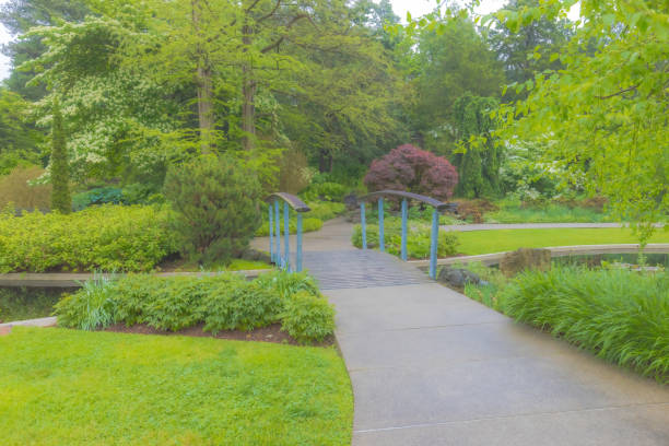 Crossing the bridge in the botanical garden and taking in the beauty on a rainy spring day.
