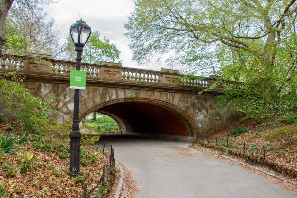 Typical stone bridgein Central Park, manhattan island, New York City