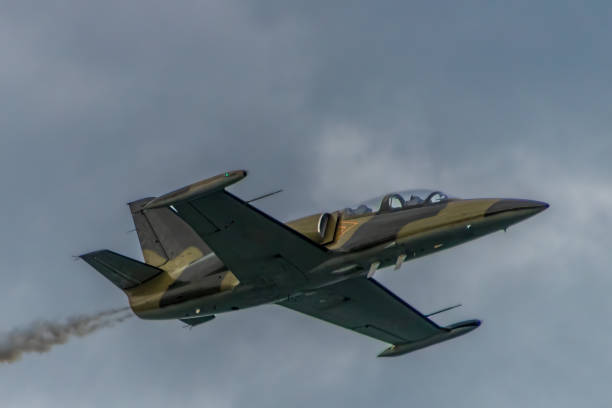 istock Czechoslovakian Aero L-39 Albatross Jet 2160516239