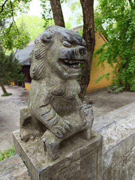 istock China, Suzhou, Tiger Hill landmark, park 2160521064