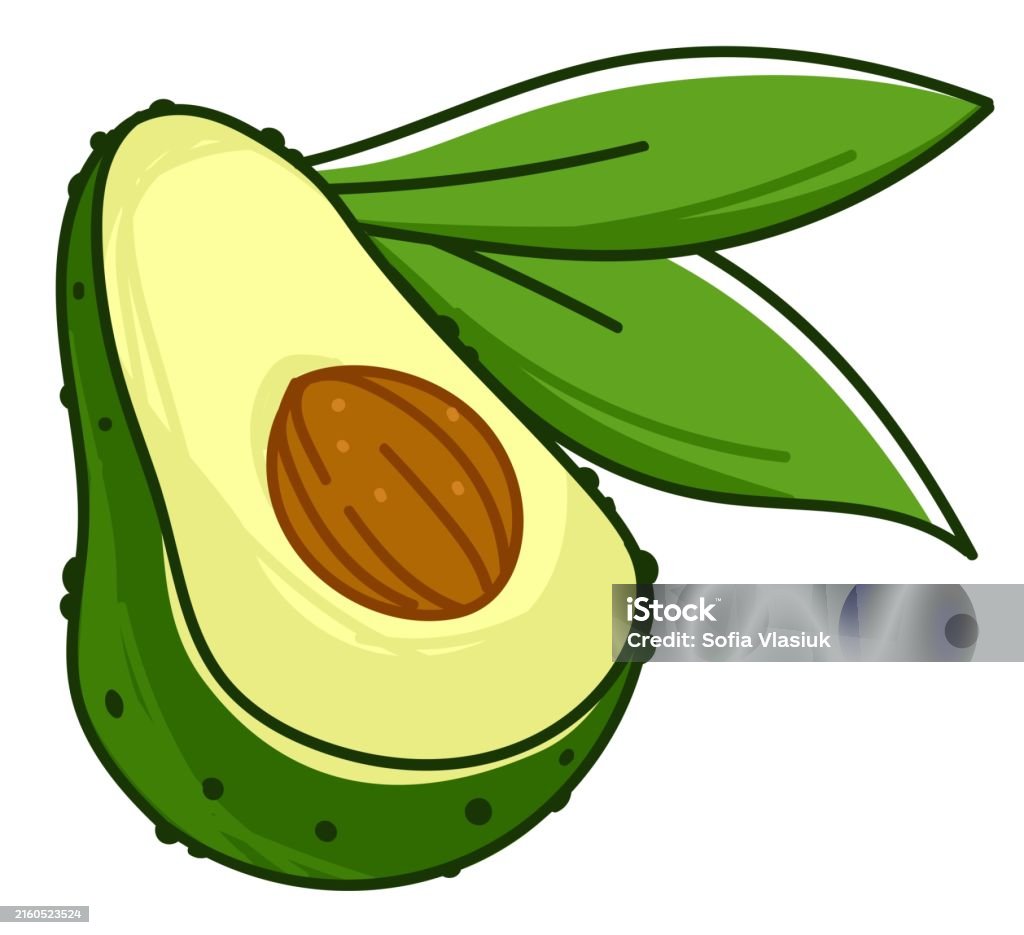Avocado vegetable with seed and leaf, exotic food Exotic vegetable with peel, seed and leaves. Isolated icon of avocado, nutritious tasty food or ingredient for cooking and preparing healthy dishes. Dieting and nutrition. Vector in flat style Appetizer stock vector Avocado vegetable with seed and leaf, exotic food Exotic vegetable with peel, seed and leaves. Isolated icon of avocado, nutritious tasty food or ingredient for cooking and preparing healthy dishes. Dieting and nutrition. Vector in flat style Appetizer stock vector