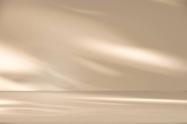 istock Wall interior background, studio and backdrops show products.with shadow leaf from window color white and beige . background for text insertion and presentation product 2160526044